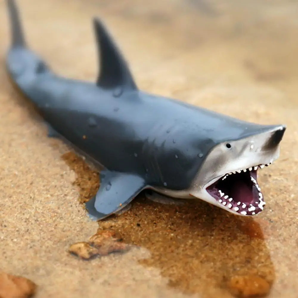 Lifelike Shark Shaped Toy Realistic Motion Simulation Simulation For Kids Animal Model Model Animal Kids Gift Children toy
Lifelike Shark Shaped Toy Realistic Motion Simulation Simulation For Kids Animal Model Model Animal Kids Gift Children toy