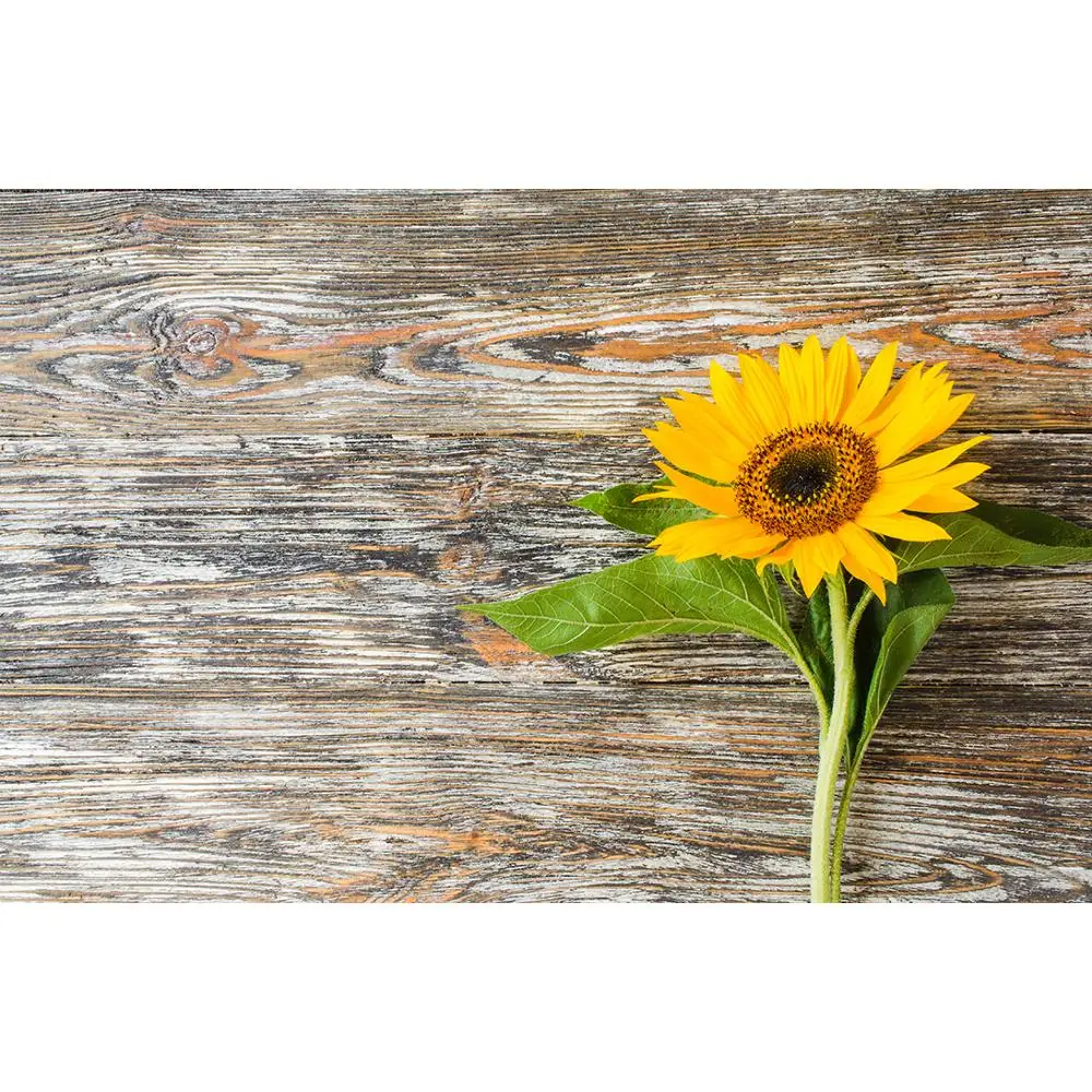 Vinyl Custom Photography Backdrops Prop scenery+ Flower and Wooden Planks Photography Background 200207FK-003
Vinyl Custom Photography Backdrops Prop scenery+ Flower and Wooden Planks Photography Background 200207FK-003