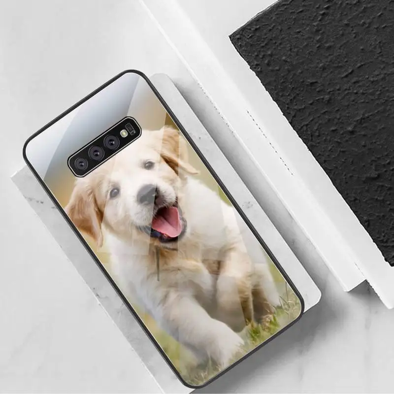 Чехол для телефона с изображением собаки золотистого ретривера из закаленного