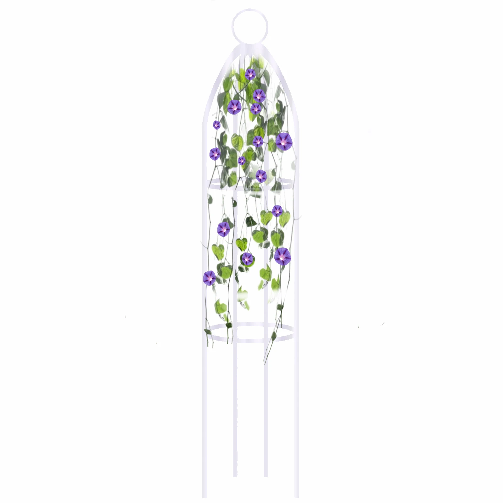 Detachable Climbing Vine Iron Rack Potted Plant Grow Support Frame Flower Vegetables Outdoor Garden Trellis Bracket Garden Decor
Detachable Climbing Vine Iron Rack Potted Plant Grow Support Frame Flower Vegetables Outdoor Garden Trellis Bracket Garden Decor