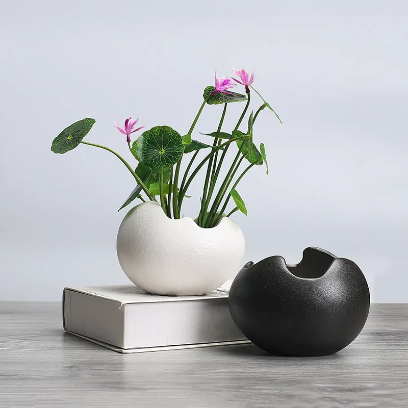 Eggshell Ceramic Flower Pot Art Hydroponic Vase Flower Arrangement Succulents Potted Garden Gardening Decor Abstract Flower Vase
Eggshell Ceramic Flower Pot Art Hydroponic Vase Flower Arrangement Succulents Potted Garden Gardening Decor Abstract Flower Vase