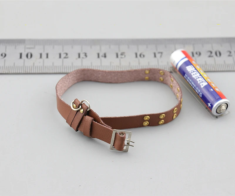 1/6 Scale fs73028 Armed Police Brown Betl Model for 12''Figure Body Accessories DIY
1/6 Scale fs73028 Armed Police Brown Betl Model for 12''Figure Body Accessories DIY