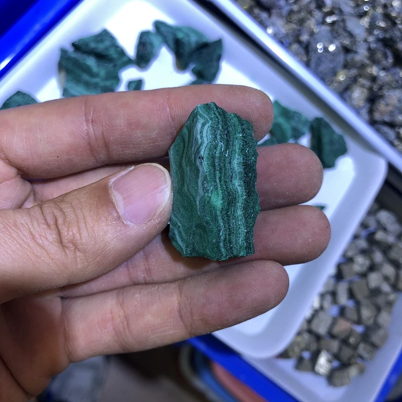 Sale 1Pcs Natural Genuine Malachite Rough,Raw Gem Healing Gem stone Speciment,For warping Cabbing,Cutting, Lapidary,Approx 25mm
Sale 1Pcs Natural Genuine Malachite Rough,Raw Gem Healing Gem stone Speciment,For warping Cabbing,Cutting, Lapidary,Approx 25mm