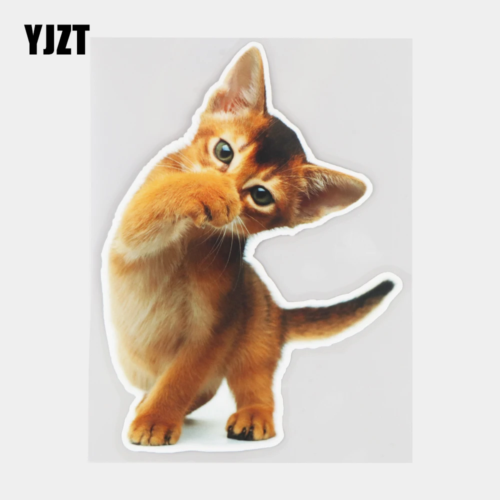 YJZT 14,5 × 19,6 см милый маленький кот животные мультфильм автомобильные наклейки украшения кузова наклейки аксессуары 21A-0075
YJZT 14,5 × 19,6 см милый маленький кот животные мультфильм автомобильные наклейки украшения кузова наклейки аксессуары 21A-0075