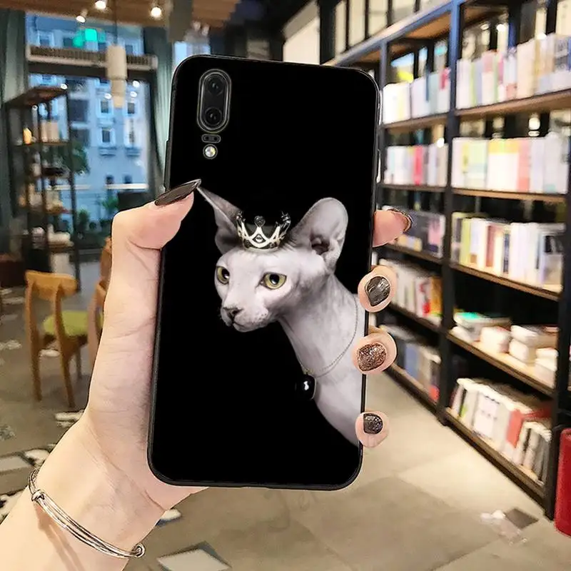 sphynx cat Animal high quality shell luxury funda phone case For Huawei honor Mate P 10 20 30 40 Pro 10i 9 10 20 8 x Lite
sphynx cat Animal high quality shell luxury funda phone case For Huawei honor Mate P 10 20 30 40 Pro 10i 9 10 20 8 x Lite