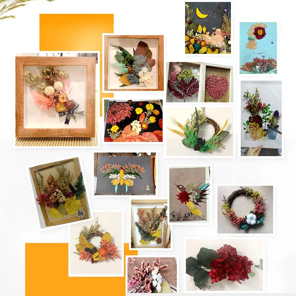 1 Bag Real Dried Flower Dry Plants Aromatherapy Candle Epoxy Resin Necklace Jewelry Diy Making Craft Home Accessories
1 Bag Real Dried Flower Dry Plants Aromatherapy Candle Epoxy Resin Necklace Jewelry Diy Making Craft Home Accessories