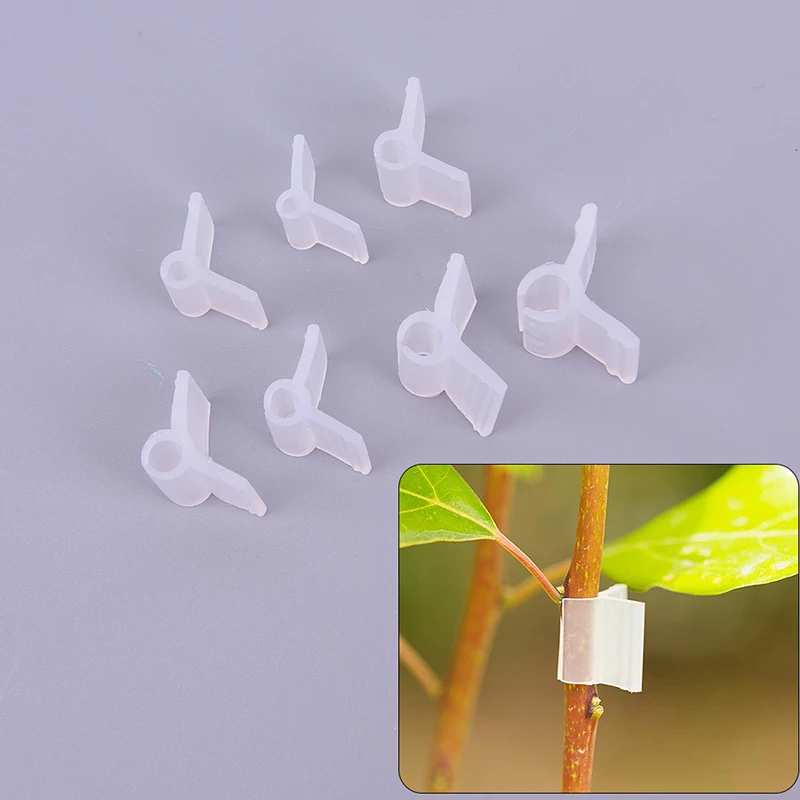 100Pcs-pack Garden Flower Plant Vine Seedlings Grafted Branches Clip Connector Fasteners Plastic Clips Garden Tool
100Pcs-pack Garden Flower Plant Vine Seedlings Grafted Branches Clip Connector Fasteners Plastic Clips Garden Tool