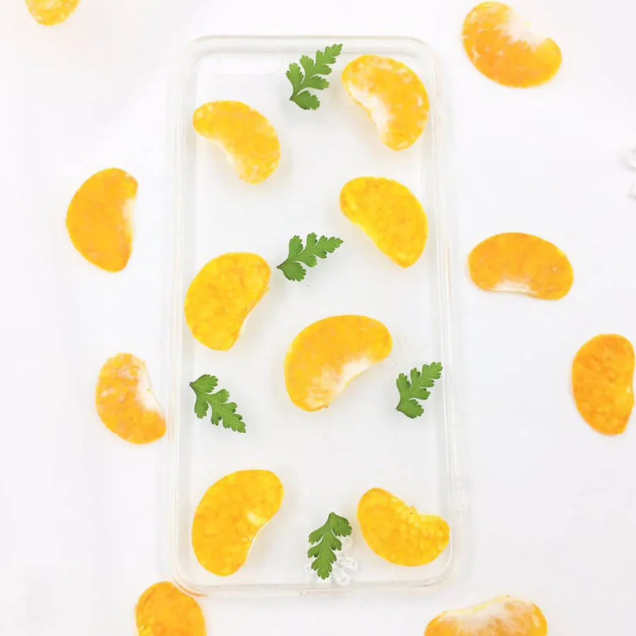 12pcs Dried Pressed Kumquat Meat Fruit Plant Herbarium For Jewelry Photo Frame Phone Case Bookmark Postcard Making DIY
12pcs Dried Pressed Kumquat Meat Fruit Plant Herbarium For Jewelry Photo Frame Phone Case Bookmark Postcard Making DIY