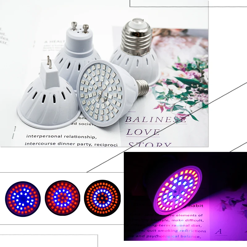 6pcs/lot Full Spectrum Led Grow Light E27 E14 GU10 MR16 220V Growing Lamp For Flower Plant Hydroponics System Aquarium Lighting
6pcs/lot Full Spectrum Led Grow Light E27 E14 GU10 MR16 220V Growing Lamp For Flower Plant Hydroponics System Aquarium Lighting