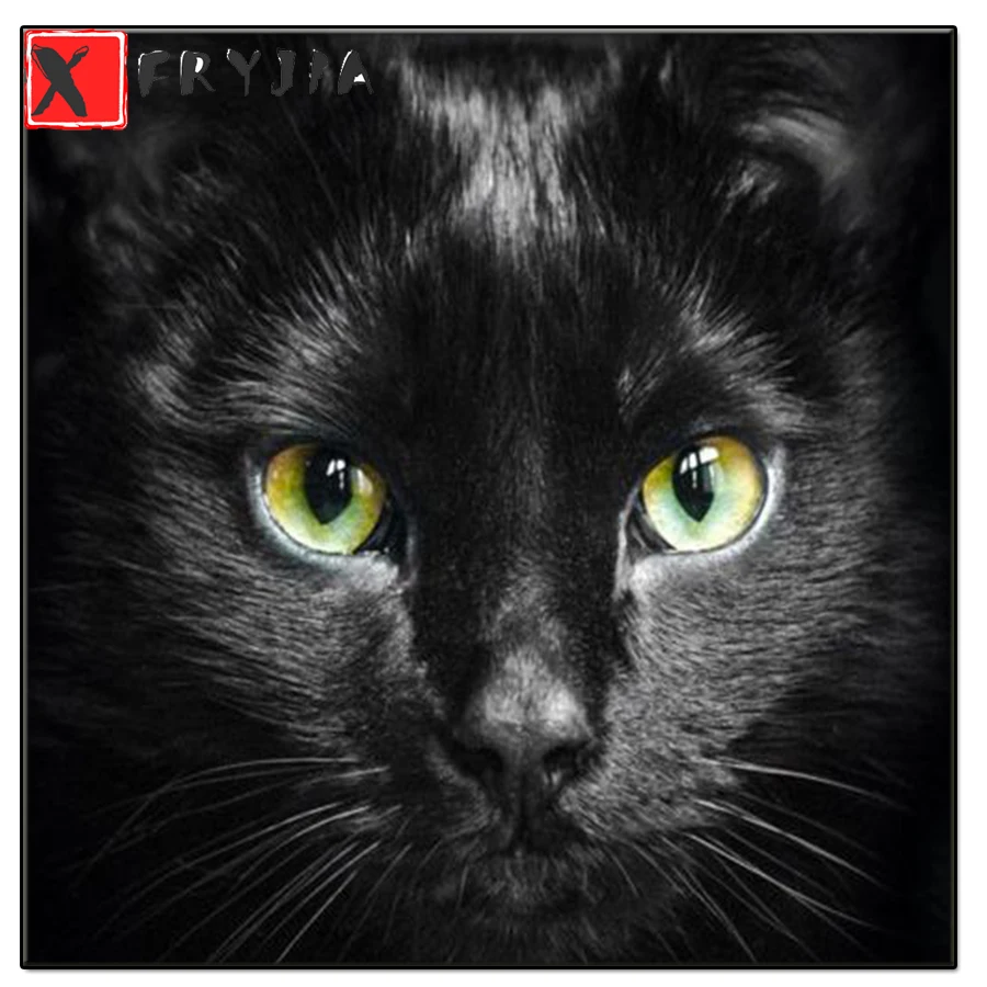 5d diy painting Cute black cat full square round drill diamond painting mosaic embroidery diamond cross stitch home decoration
5d diy painting Cute black cat full square round drill diamond painting mosaic embroidery diamond cross stitch home decoration