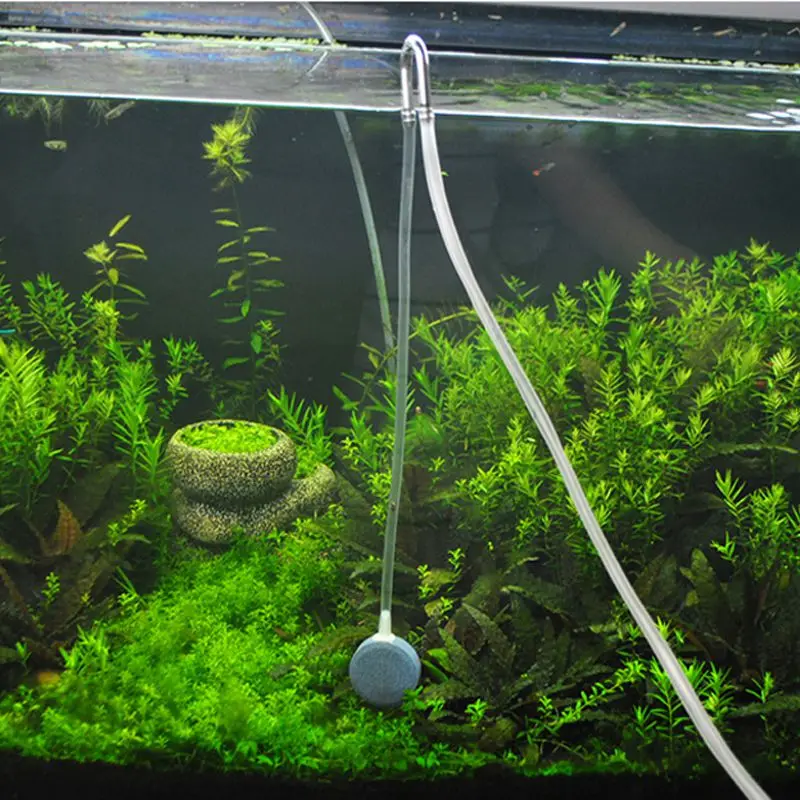 Aquarium Accessories Decoration CO2 Systeem Regulator Diffuser Atomizer Air Pump Stainless Steel U-shaped Tube Curved Connector
Aquarium Accessories Decoration CO2 Systeem Regulator Diffuser Atomizer Air Pump Stainless Steel U-shaped Tube Curved Connector