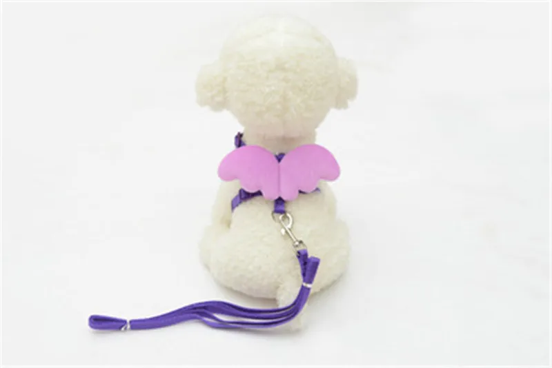 New Angel Pet Wings Chest Strap Pet Harness Cute Small Pet Dog Rabbit Cat Chest Set Belt Adjustable Outdoor Walking Leash Rope
New Angel Pet Wings Chest Strap Pet Harness Cute Small Pet Dog Rabbit Cat Chest Set Belt Adjustable Outdoor Walking Leash Rope
