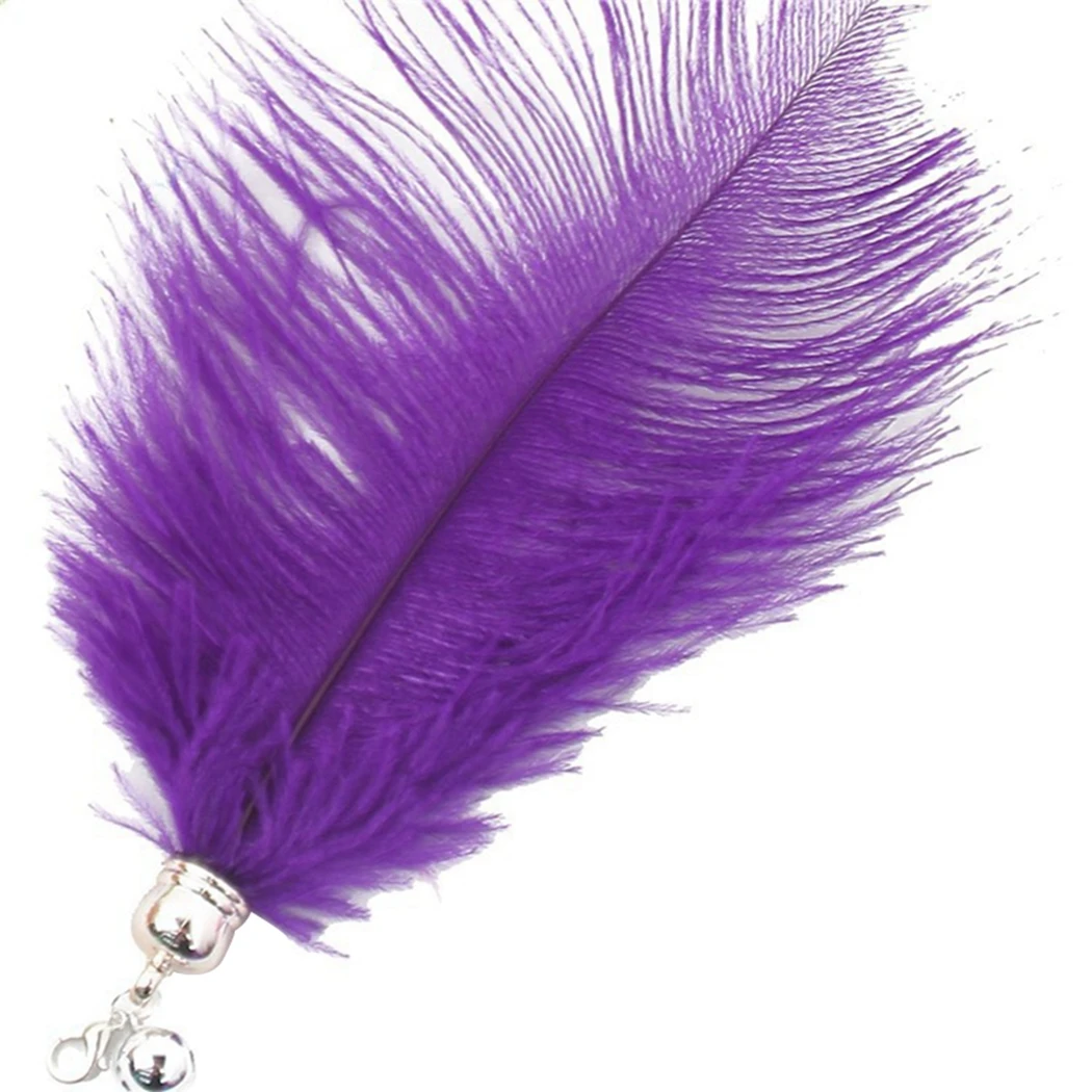 Interactive Cat Feather Toy Feather Teaser Stick Wand Cat Teaser Wand Refill Toy Feather Toys Replacement Head Random Colorful
Interactive Cat Feather Toy Feather Teaser Stick Wand Cat Teaser Wand Refill Toy Feather Toys Replacement Head Random Colorful