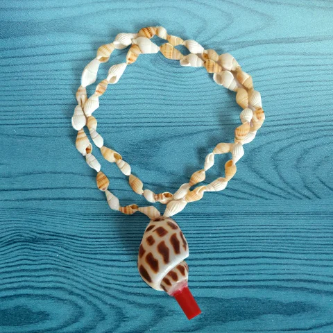Natural shell conch handicraft Necklace children's gift toy pendant jewelry conch whistle tourist area
Natural shell conch handicraft Necklace children's gift toy pendant jewelry conch whistle tourist area