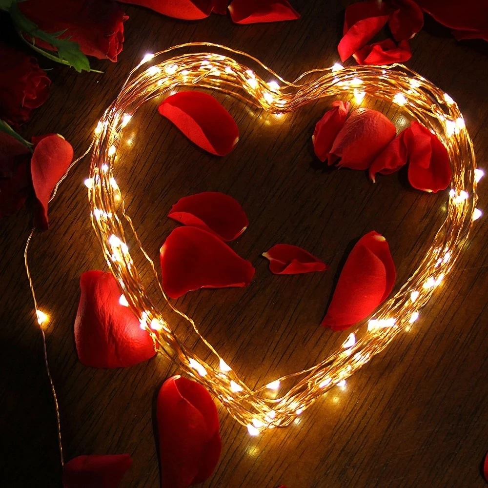 LED String light Silver Wire Fairy Garland Home Christmas Tree Wedding Curtain Party Decoration Holiday lighting
LED String light Silver Wire Fairy Garland Home Christmas Tree Wedding Curtain Party Decoration Holiday lighting