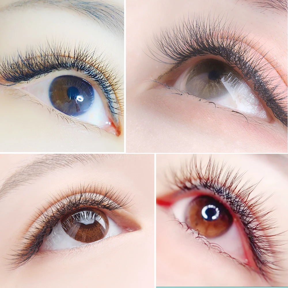 Yelix Clover Lashes Soft Thin W Shape individual Eyelash Extensions 3D Premade Russian Volume Mink Fans Lash Extension Fan
Yelix Clover Lashes Soft Thin W Shape individual Eyelash Extensions 3D Premade Russian Volume Mink Fans Lash Extension Fan