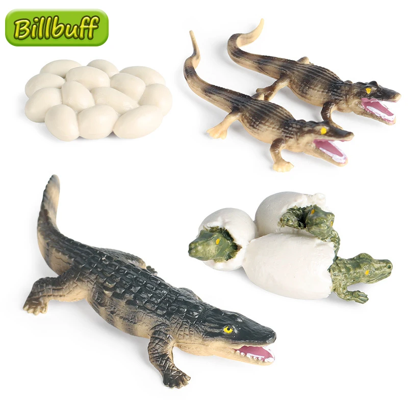 Mini New Simulation Wilds Animals ABS Crocodile Cubs Action Figures Collection Miniature Cognition Educational Toys for Children
Mini New Simulation Wilds Animals ABS Crocodile Cubs Action Figures Collection Miniature Cognition Educational Toys for Children
