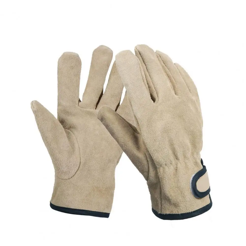 Hiking Gloves Thicken Wear-resistant Heat Insulation Outdoor BBQ Protective Gloves for Camping Hiking Accessories
Hiking Gloves Thicken Wear-resistant Heat Insulation Outdoor BBQ Protective Gloves for Camping Hiking Accessories