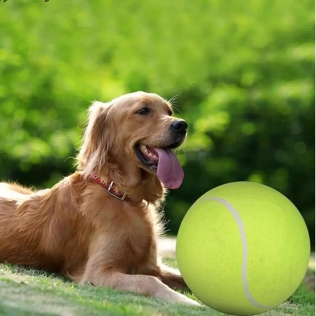 Rubber Chemical Fiber Tennis Inflatable Tennis Activity Gift Pet Ball Bite Toy Inflatable Supplies Outdoor Training Toys 
Rubber Chemical Fiber Tennis Inflatable Tennis Activity Gift Pet Ball Bite Toy Inflatable Supplies Outdoor Training Toys