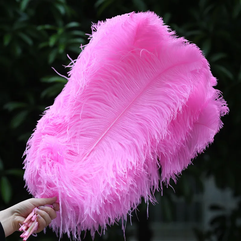 

Sale 20pcs/lot Pink Ostrich Feather 24-26 inches/60-65cm Jewelry Feathers for Craft Supplies Dancers Party Plumas De Faisan