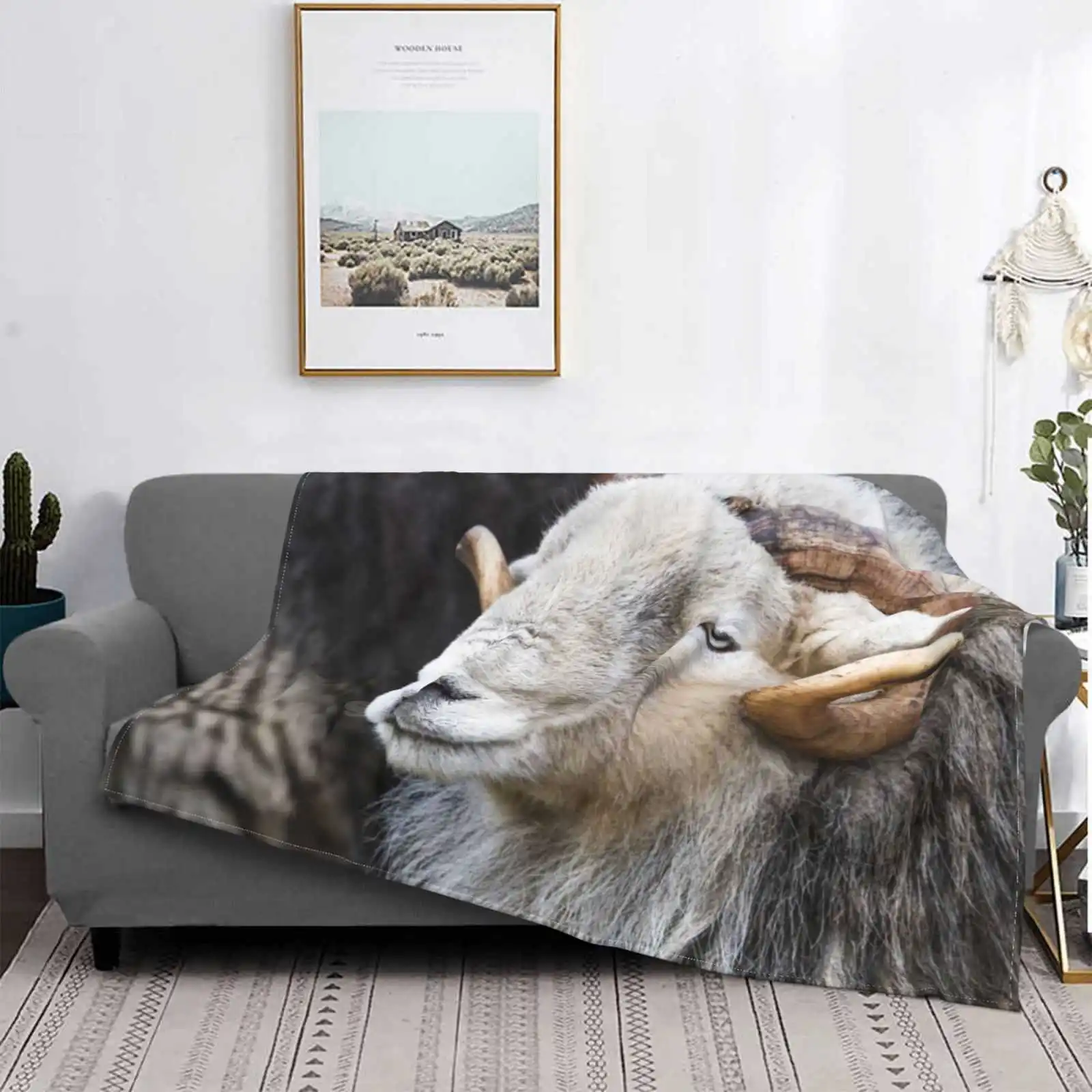 Овчина Herdwick-Ram. Мягкое одеяло с кондиционированием воздуха, одеяла, рога, овец, овец, серых овец, домашняя ферма, животные, озеро
Овчина Herdwick-Ram. Мягкое одеяло с кондиционированием воздуха, одеяла, рога, овец, овец, серых овец, домашняя ферма, животные, озеро
