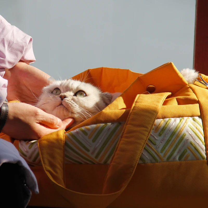 Сумка-переноска для домашних животных сумки литературы и искусства сумка кошек