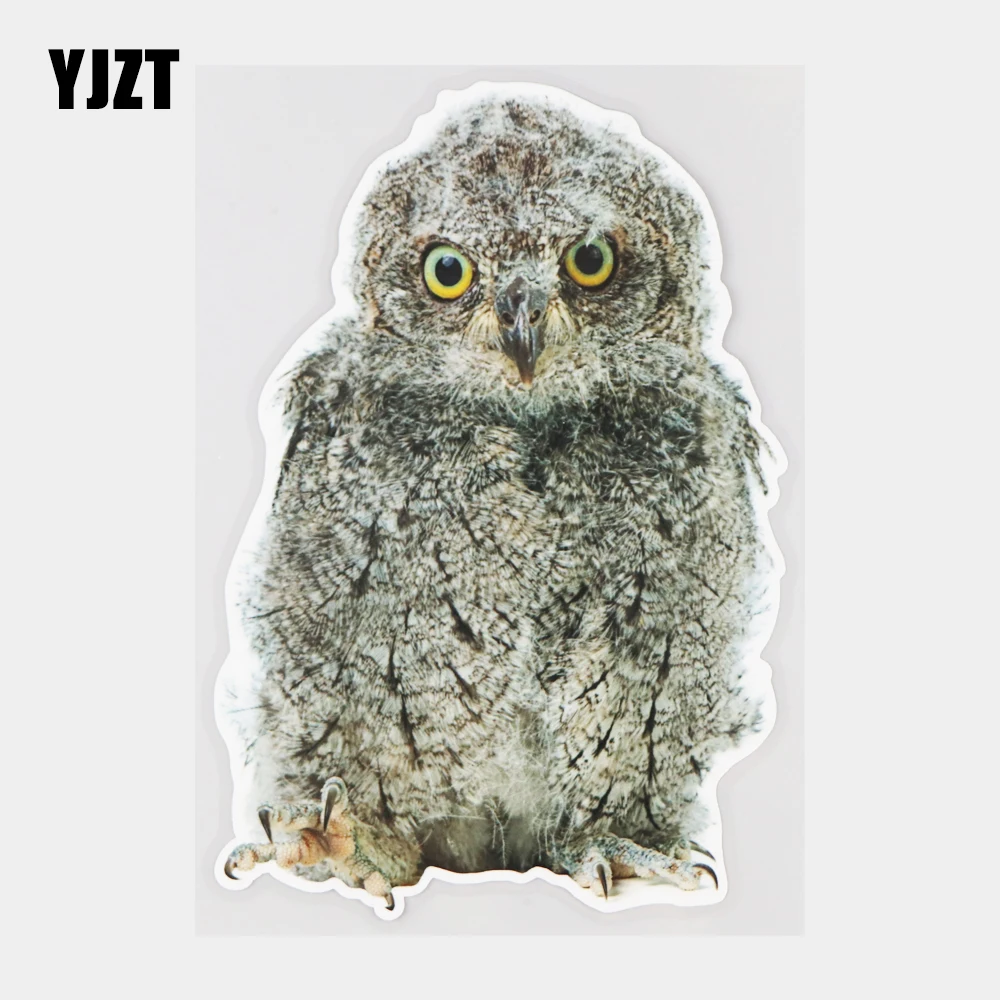 YJZT 12.5×18.3CM Cute Little Owl Animal Door Bumper Scratch Occlusion Decoration Car Sticker 21A-0439
YJZT 12.5×18.3CM Cute Little Owl Animal Door Bumper Scratch Occlusion Decoration Car Sticker 21A-0439