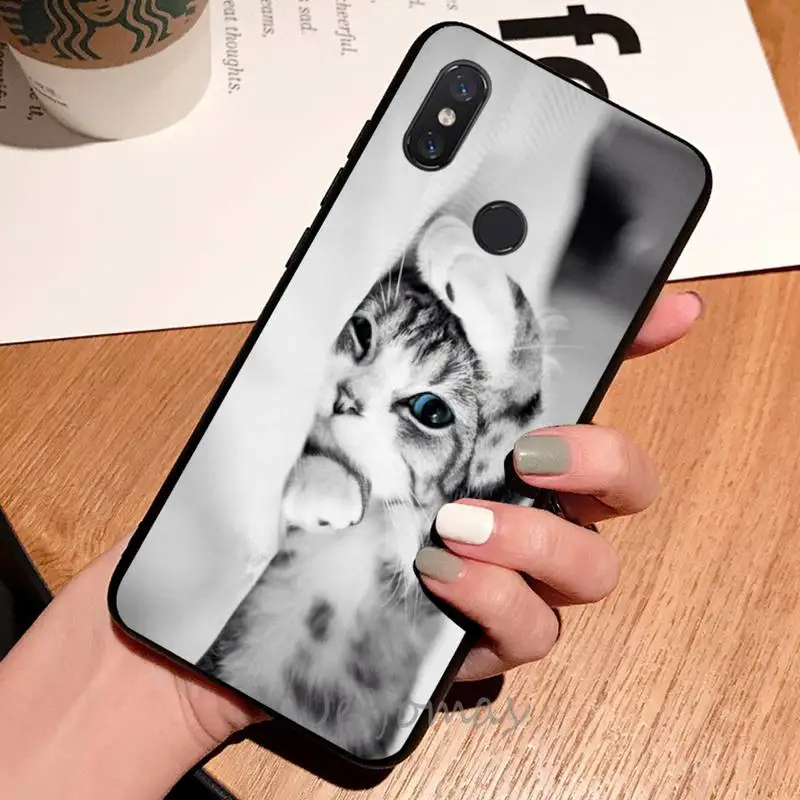 Funny Kitten Cat Phone Case For Xiaomi Mi A1 A2 5 6 6PLUS 8 9 SE Lite MIX 2 2S MAX 2 3 Pocophone F1
Funny Kitten Cat Phone Case For Xiaomi Mi A1 A2 5 6 6PLUS 8 9 SE Lite MIX 2 2S MAX 2 3 Pocophone F1