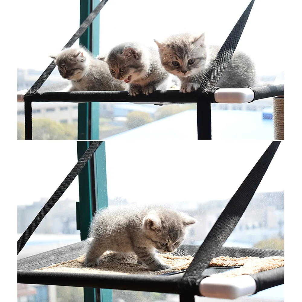 Pet Cat Window Bed Cat Hammock Bed Double Deck Window Suction Cups Perch Hammock Seat For Pet Cat Sunbath
Pet Cat Window Bed Cat Hammock Bed Double Deck Window Suction Cups Perch Hammock Seat For Pet Cat Sunbath