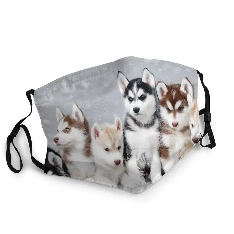Siberian Husky Mask Breathable Men Funny Alaskan Malamute Dog Mouth Face Mask Anti Haze Dust Protection Respirator Mouth-Muffle
Siberian Husky Mask Breathable Men Funny Alaskan Malamute Dog Mouth Face Mask Anti Haze Dust Protection Respirator Mouth-Muffle