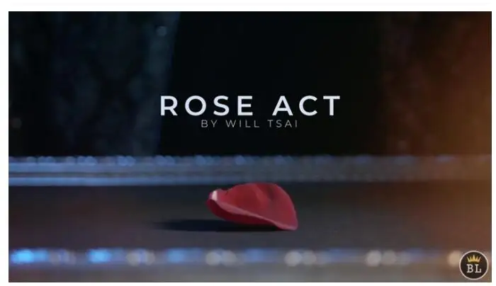 Visual Matrix AKA Rose Act Elegant Gold by Will Tsai and SansMinds-Magic tricks
Visual Matrix AKA Rose Act Elegant Gold by Will Tsai and SansMinds-Magic tricks