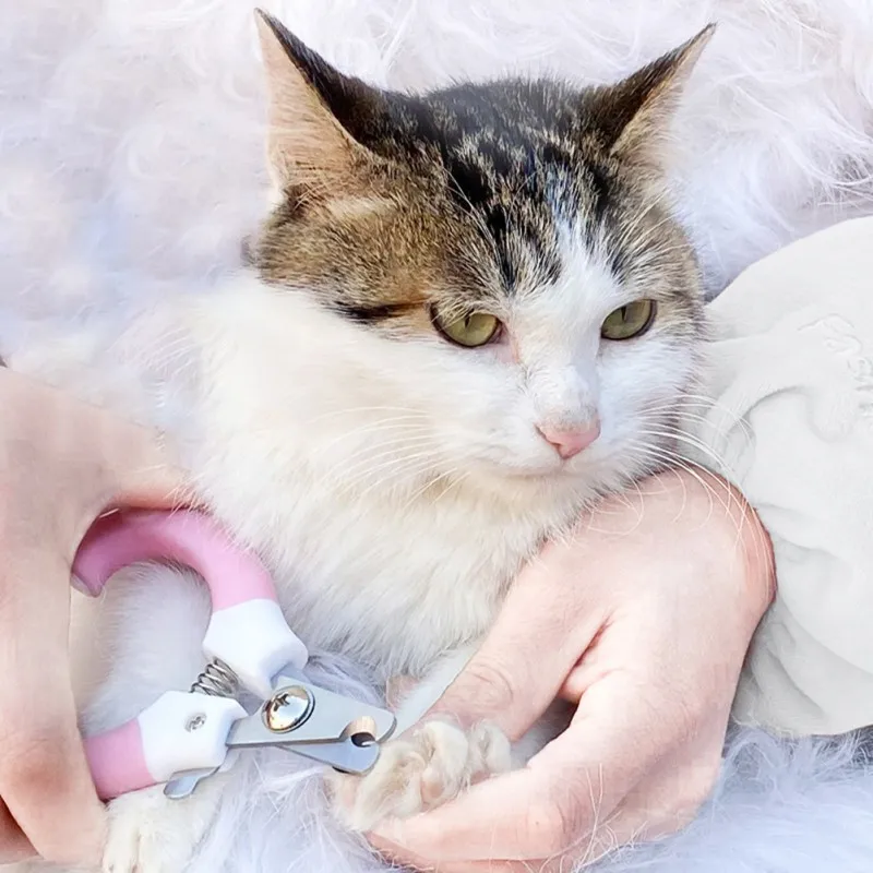 Hot Pet Dog Cat Stainless Steel Claw Nail Clippers Cutter File Scissors Dogs Toe Care Trimmer Nails Pets Grooming Supplies
Hot Pet Dog Cat Stainless Steel Claw Nail Clippers Cutter File Scissors Dogs Toe Care Trimmer Nails Pets Grooming Supplies