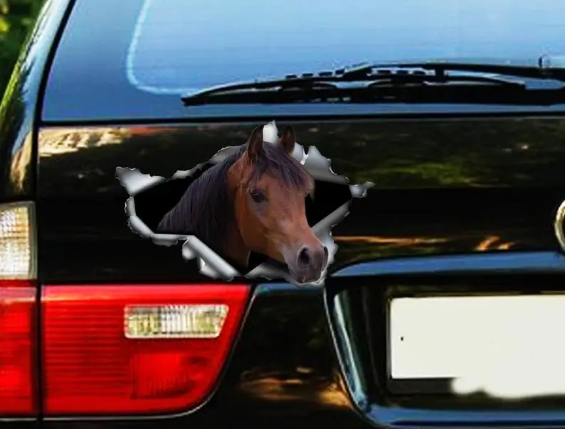 2021 chestnut Arabian horse sticker , car sticker , horse decal, chestnut Arabian horse decal
2021 chestnut Arabian horse sticker , car sticker , horse decal, chestnut Arabian horse decal
