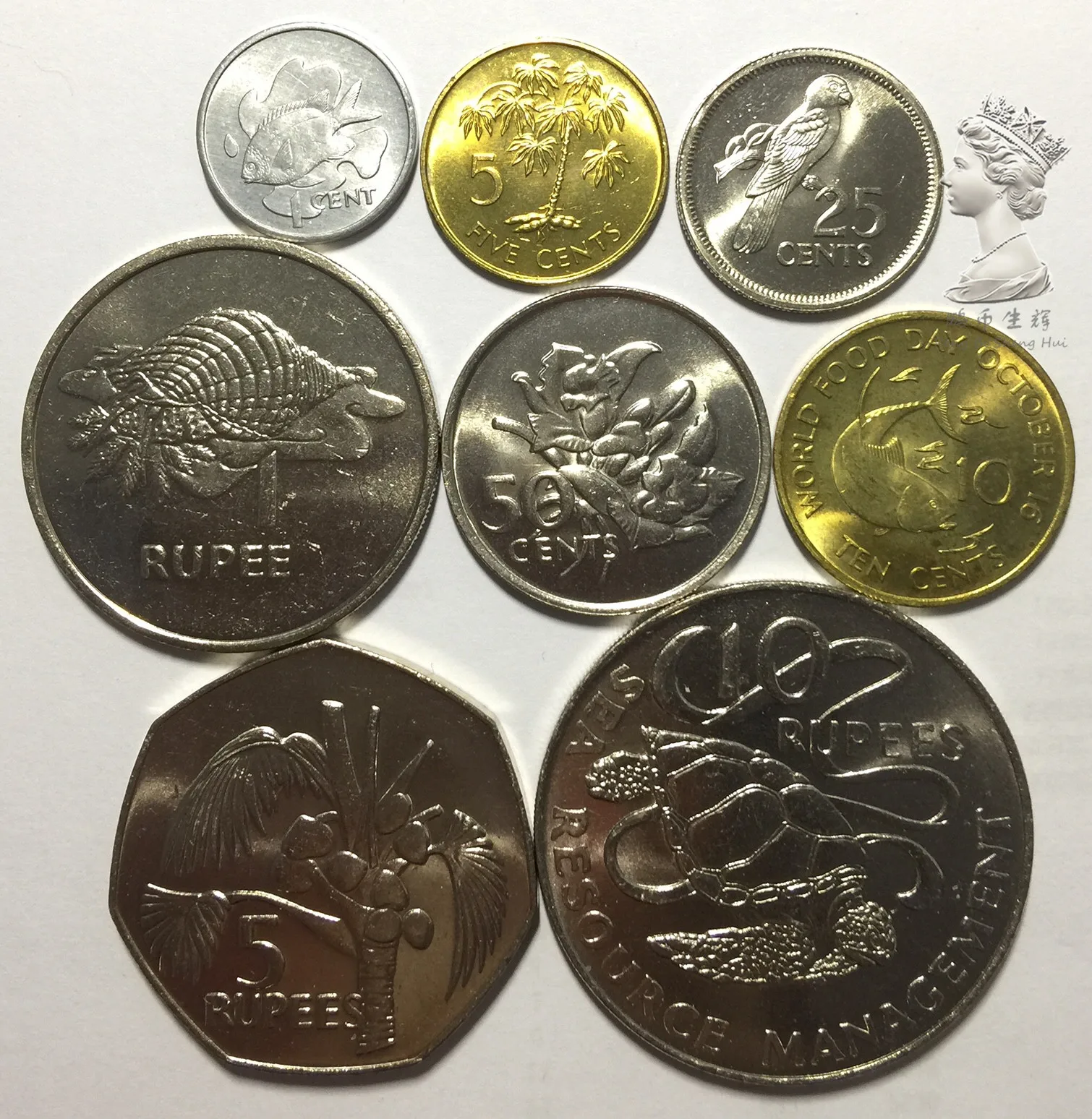 Rare Edition Seychelles 1977-1982 1-5-10-25-50 points-1-5-10 rupees Full Set 8 Pieces Genuine Coins Real Original Coin 
Rare Edition Seychelles 1977-1982 1-5-10-25-50 points-1-5-10 rupees Full Set 8 Pieces Genuine Coins Real Original Coin