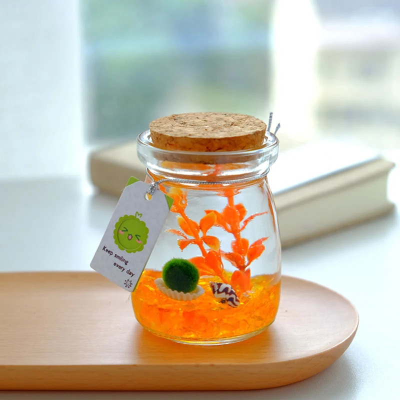 11 CM Round Glass Jar Terrarium with Colorful LED Light Cork Micro Landscape Ecological Bottle Night Lights
11 CM Round Glass Jar Terrarium with Colorful LED Light Cork Micro Landscape Ecological Bottle Night Lights