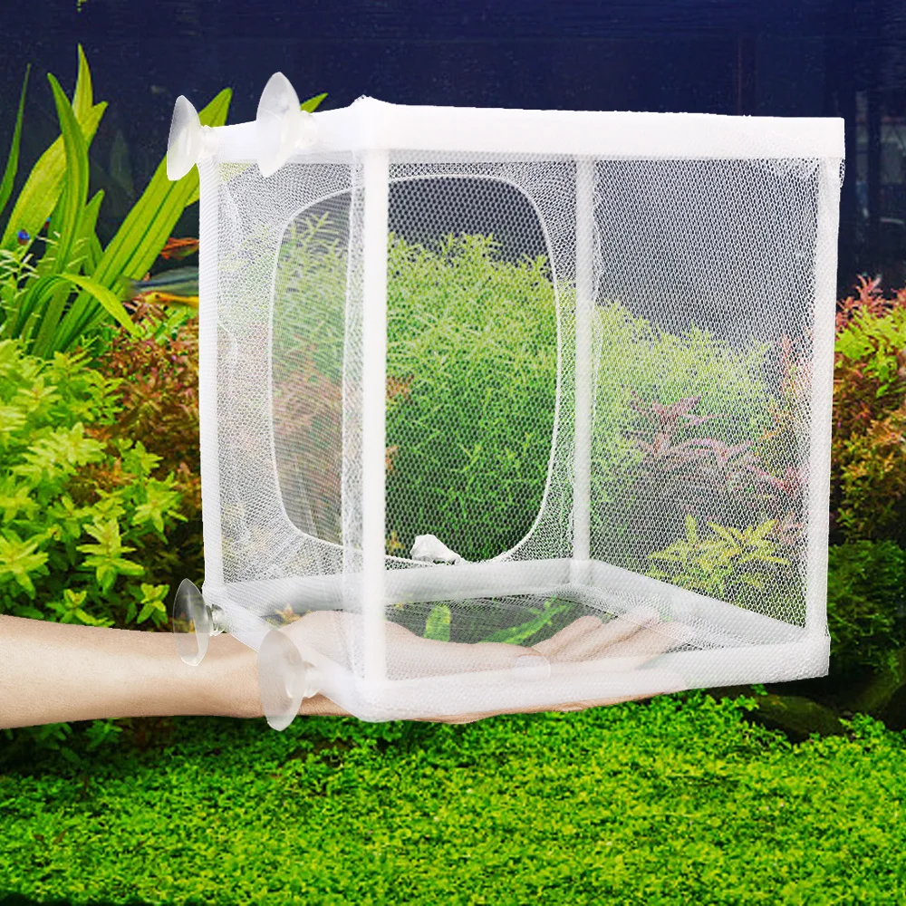 Fish Tank Aquarium Guppy Breeding Breeder Aquarium Hatchery Incubator S/L Net Small Fry Breeding Box Trap Box Isolator
Fish Tank Aquarium Guppy Breeding Breeder Aquarium Hatchery Incubator S/L Net Small Fry Breeding Box Trap Box Isolator
