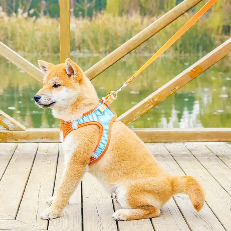 Breathable Small Dog Pet Harness and Leash Set Night reflection Puppy Cat Vest Harness Collar For Chihuahua Pug Bulldog Cat
Breathable Small Dog Pet Harness and Leash Set Night reflection Puppy Cat Vest Harness Collar For Chihuahua Pug Bulldog Cat
