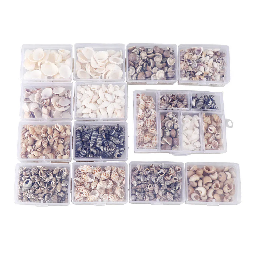Mix Style Natural Shell 1-3cm 1 BOX Natural Conch Shells Mini Conch Corn Screw Wall Decoration DIY Aquarium Landscape Seashells
Mix Style Natural Shell 1-3cm 1 BOX Natural Conch Shells Mini Conch Corn Screw Wall Decoration DIY Aquarium Landscape Seashells