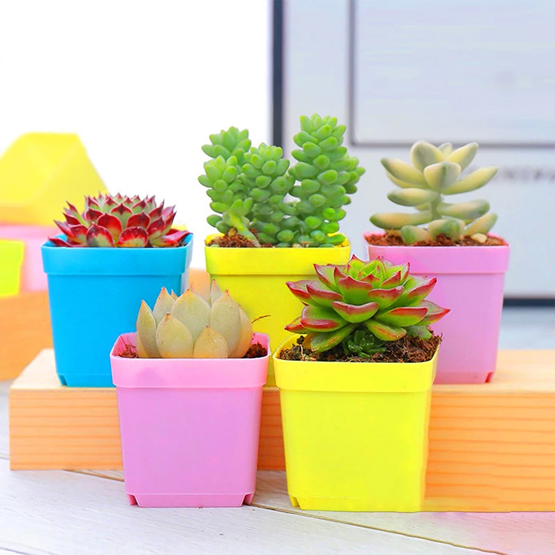 10 Color Succulent Plants Flower Pots Decoration Indoor Garden For Office Desktop Mini Vase Plant Nursery Pot Home Accessories
10 Color Succulent Plants Flower Pots Decoration Indoor Garden For Office Desktop Mini Vase Plant Nursery Pot Home Accessories