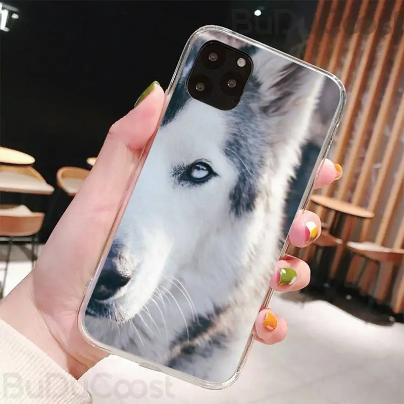 Husky cute Black TPU Soft Phone Case For iphone 5C 5 6 6s plus 7 8 SE 7 8 plus X XR XS MAX 11 Pro Max
Husky cute Black TPU Soft Phone Case For iphone 5C 5 6 6s plus 7 8 SE 7 8 plus X XR XS MAX 11 Pro Max