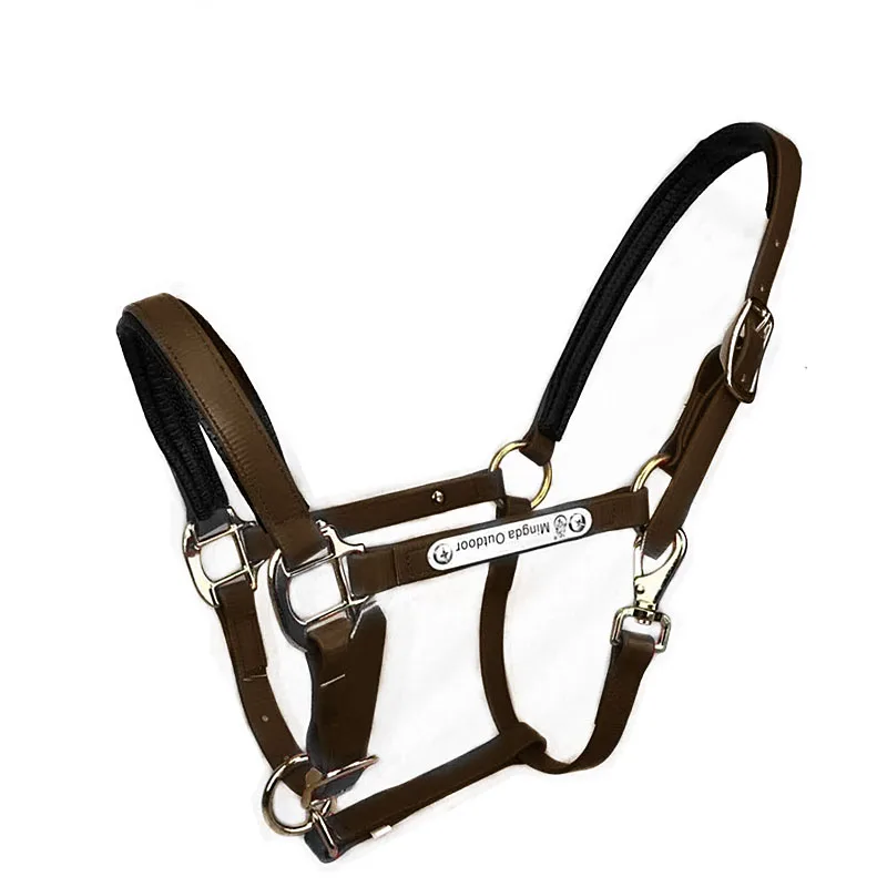 New Horse Bridle PVC Big Horse Cage Set Training Equestrian Supplies Harness Full Set Of Accessories Size S
New Horse Bridle PVC Big Horse Cage Set Training Equestrian Supplies Harness Full Set Of Accessories Size S