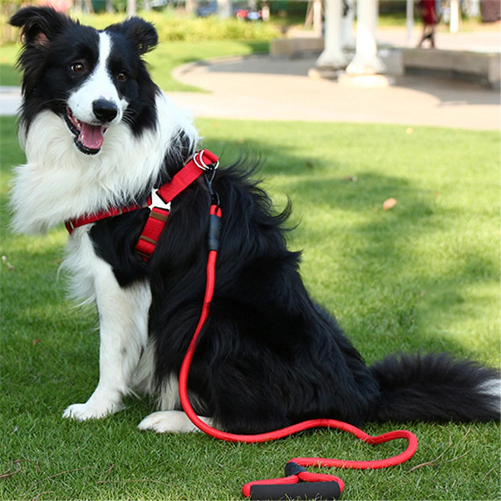 Soft Pet Dog Harness Leash Set Adjustable Nylon Chihuahua Harness Vest Dog Leash For Small Medium Dog Cat Pet Products Walking
Soft Pet Dog Harness Leash Set Adjustable Nylon Chihuahua Harness Vest Dog Leash For Small Medium Dog Cat Pet Products Walking