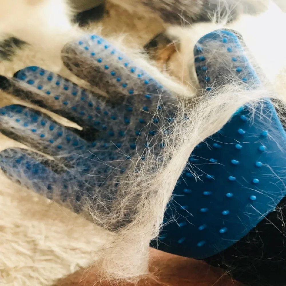 Cat Glove Cat Grooming Glove Pet Brush Glove for Cat Dog Hair Remove Brush Dog Deshedding Cleaning Combs Massage Gloves
Cat Glove Cat Grooming Glove Pet Brush Glove for Cat Dog Hair Remove Brush Dog Deshedding Cleaning Combs Massage Gloves