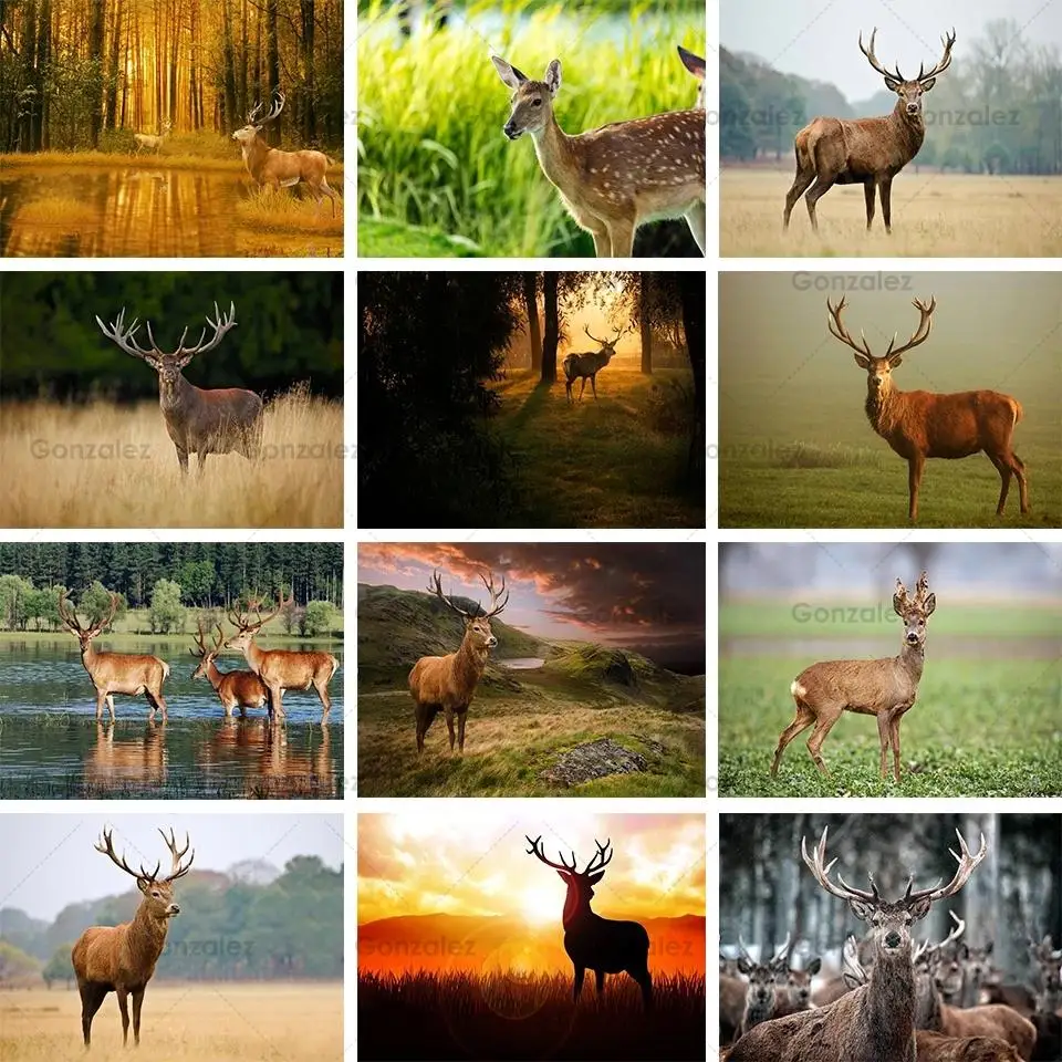 Full Display Drill 5D Diy Diamond Painting Deer Animals Embroidery Cross Stitch Art Mosaic Home Decoration Handmade Gifts Crafts
Full Display Drill 5D Diy Diamond Painting Deer Animals Embroidery Cross Stitch Art Mosaic Home Decoration Handmade Gifts Crafts