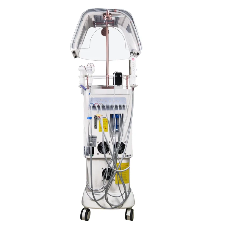 2020 High Quality Medical Laser Lifting High-pressure Water Oxygen Pen Oxygen Rejuvenating Machine
2020 High Quality Medical Laser Lifting High-pressure Water Oxygen Pen Oxygen Rejuvenating Machine