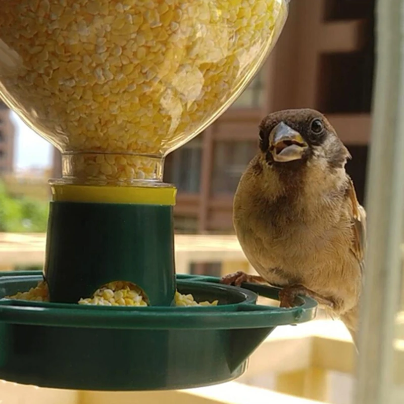 Automatic Wild Bird Seeds Feed Forest Hanging Cup Garden Bird Feeder Outdoor Indoor Pet Feeding Container
Automatic Wild Bird Seeds Feed Forest Hanging Cup Garden Bird Feeder Outdoor Indoor Pet Feeding Container