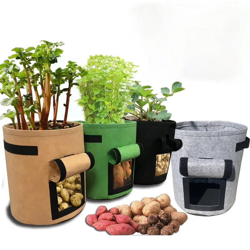 2Pcs 4/7/10 Gallon Potato Grow Bag Pot Plant Grow Bags Planting Bag Home Garden Fruit Fabric Plants Growing Moisturizing
2Pcs 4/7/10 Gallon Potato Grow Bag Pot Plant Grow Bags Planting Bag Home Garden Fruit Fabric Plants Growing Moisturizing