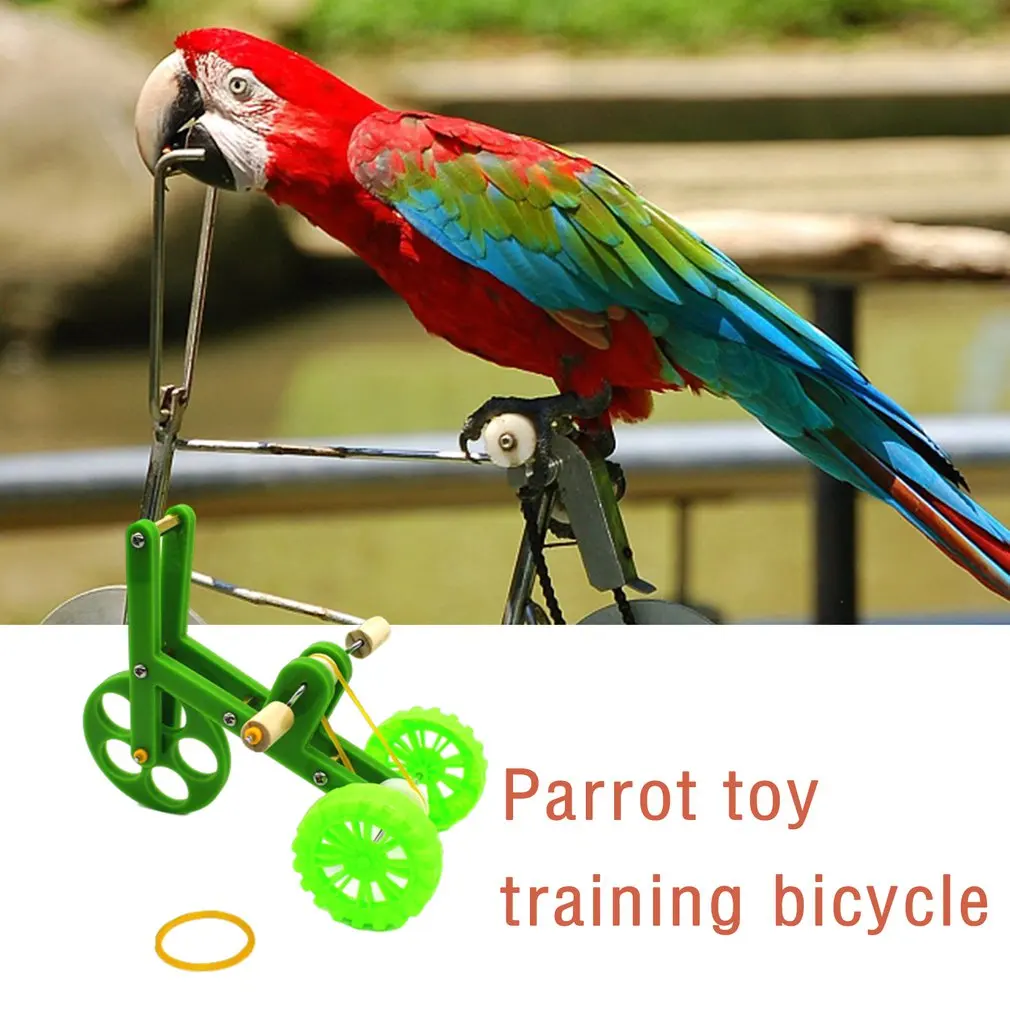 Funny Parrot Toy Birds Training Plaything Interesting Parrot Toy Bike Bird Training Supplies Parrot Training Props
Funny Parrot Toy Birds Training Plaything Interesting Parrot Toy Bike Bird Training Supplies Parrot Training Props