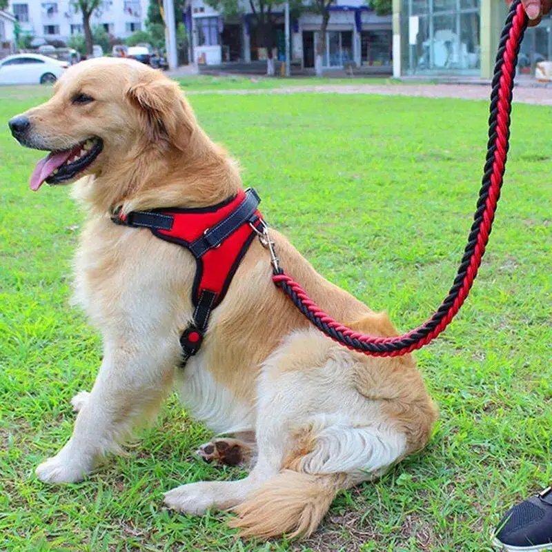Solid Dog Harness Vest Walking and Training Pet Harness and Leash Set Adjustable Dogs Collar Harness No Pull for French Bulldog
Solid Dog Harness Vest Walking and Training Pet Harness and Leash Set Adjustable Dogs Collar Harness No Pull for French Bulldog