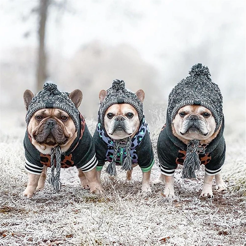 Windproof Hat Dog Kids Winter Warm Knitted Pet Dogs Hats Christmas Clothes Funny Cat Dog Clothes Accessories Pet Dress Up
Windproof Hat Dog Kids Winter Warm Knitted Pet Dogs Hats Christmas Clothes Funny Cat Dog Clothes Accessories Pet Dress Up